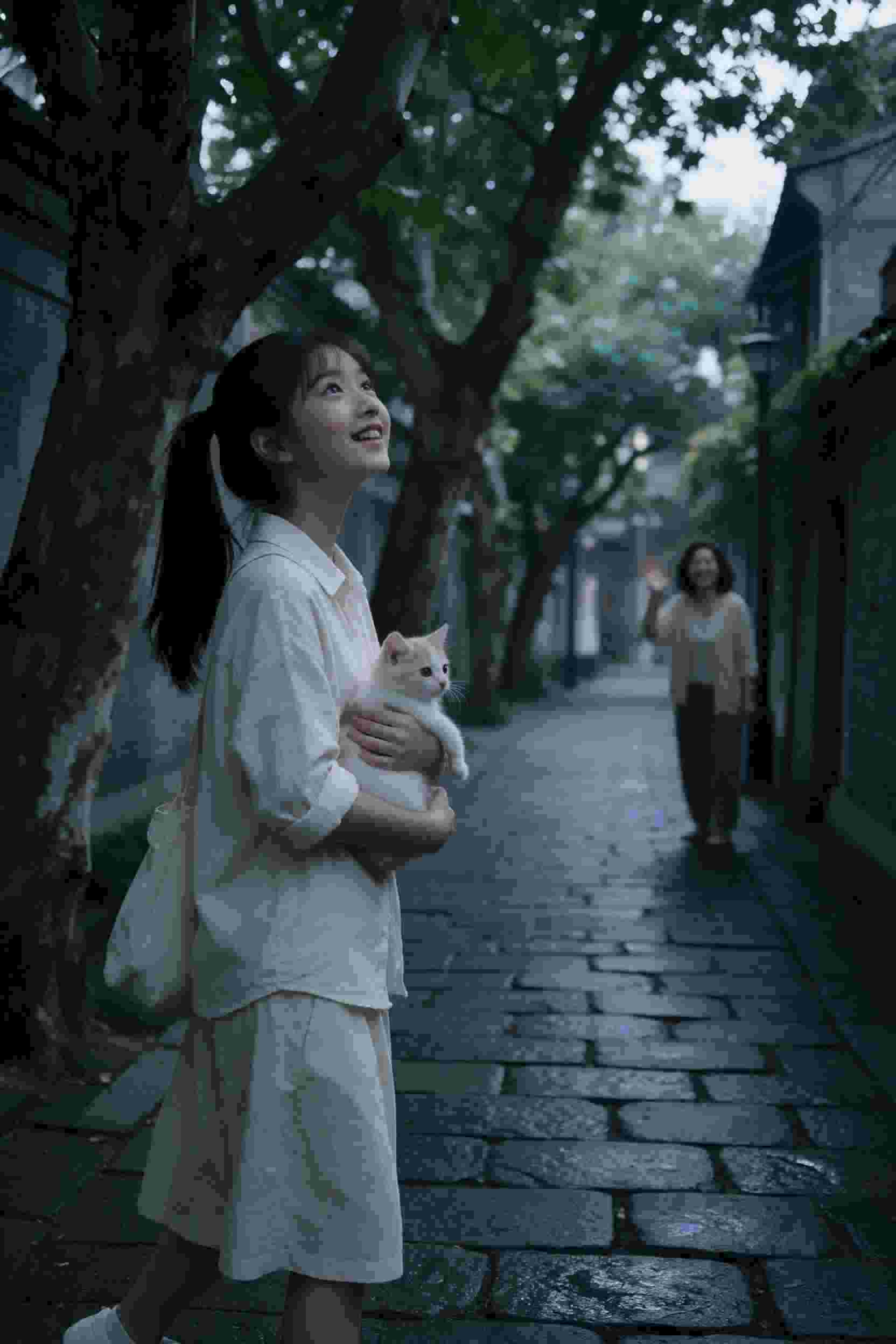 契约情人